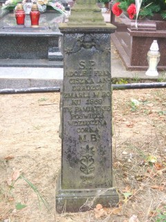 Wspomnienia Ignacego Domeyki. Nagrobek Franciszki i Adolfa Andradzkich na cmentarzu w Jaminach