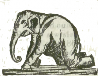 Słoń z menażerii C. Szmidta. Kurier Warszawski 75/1852