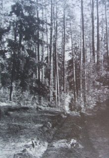 wolno się posuwała po wyboistej, wąskiej drożynie. Droga do Grzęd. Fot. 1935.