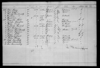 Z Solistowskiej Góry do Ameryki. Nieznany epizod z historii wsi Grzędy.