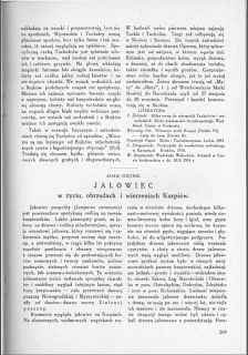 JAŁOWIEC w życiu, obrzędach i wierzeniach Kurpiów. - ADAM CHĘTNIK