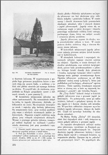 JAŁOWIEC w życiu, obrzędach i wierzeniach Kurpiów. - ADAM CHĘTNIK