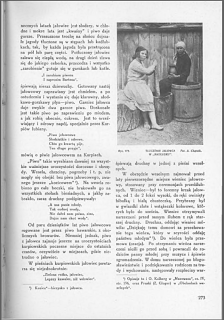 JAŁOWIEC w życiu, obrzędach i wierzeniach Kurpiów. - ADAM CHĘTNIK