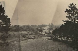 Park przy dworze Lutosławskich – historia i teraźniejszość