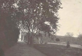 Park przy dworze Lutosławskich – historia i teraźniejszość