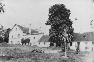 Park przy dworze Lutosławskich – historia i teraźniejszość