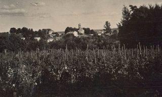 Park przy dworze Lutosławskich – historia i teraźniejszość