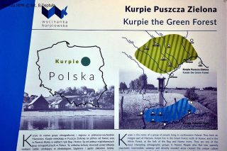 Nowa wystawa czasowa w Muzeum Północno-Mazowieckim - „Wycinanka kurpiowska z Puszczy Zielonej”